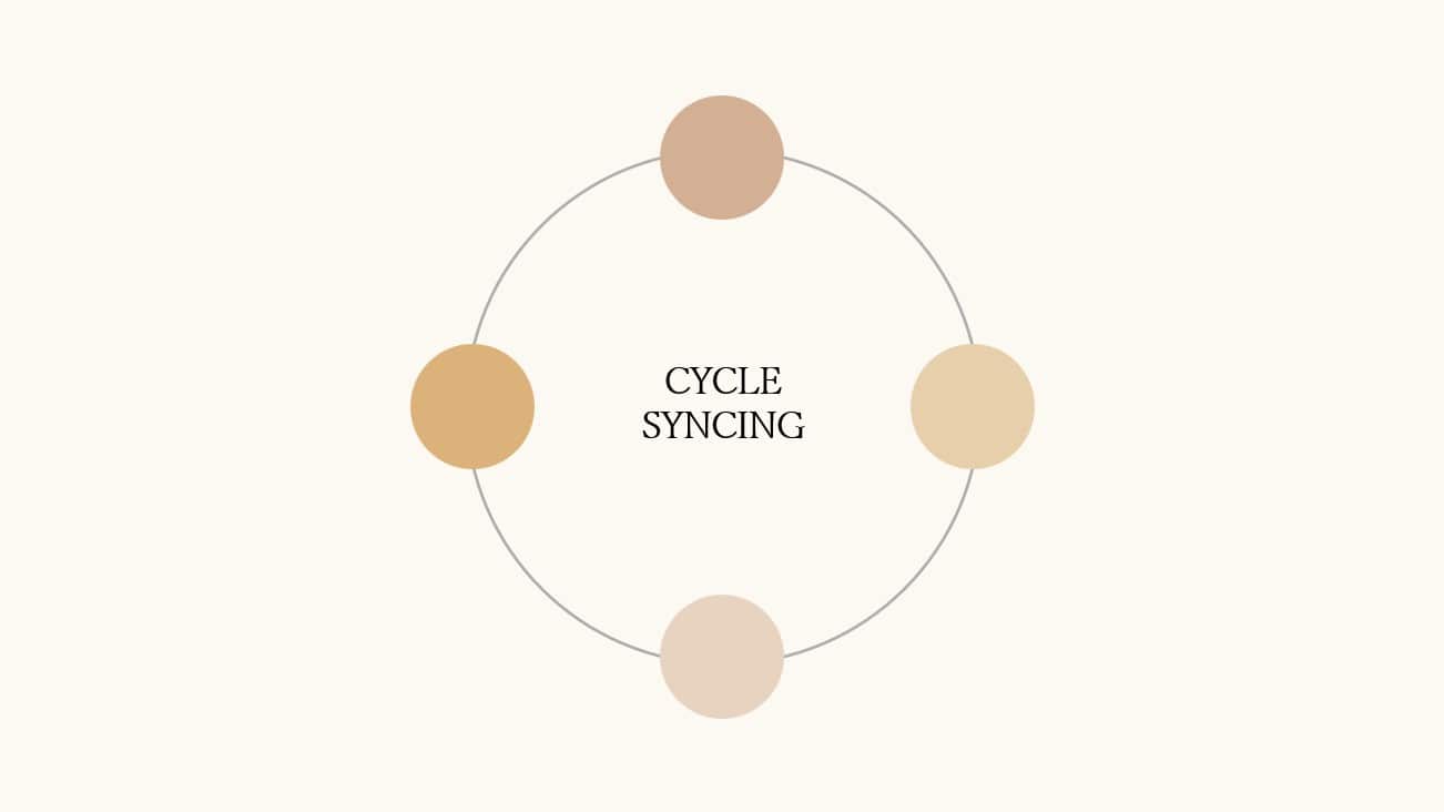 Cycle syncing Léa Templier - Cycle Syncing