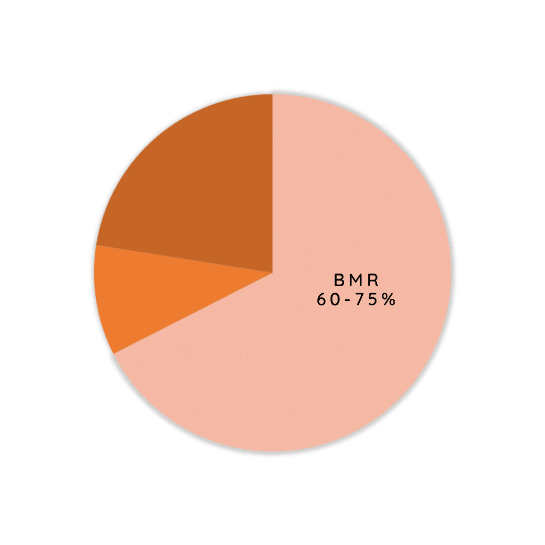 BMR BMR Basal Metabolic Rate