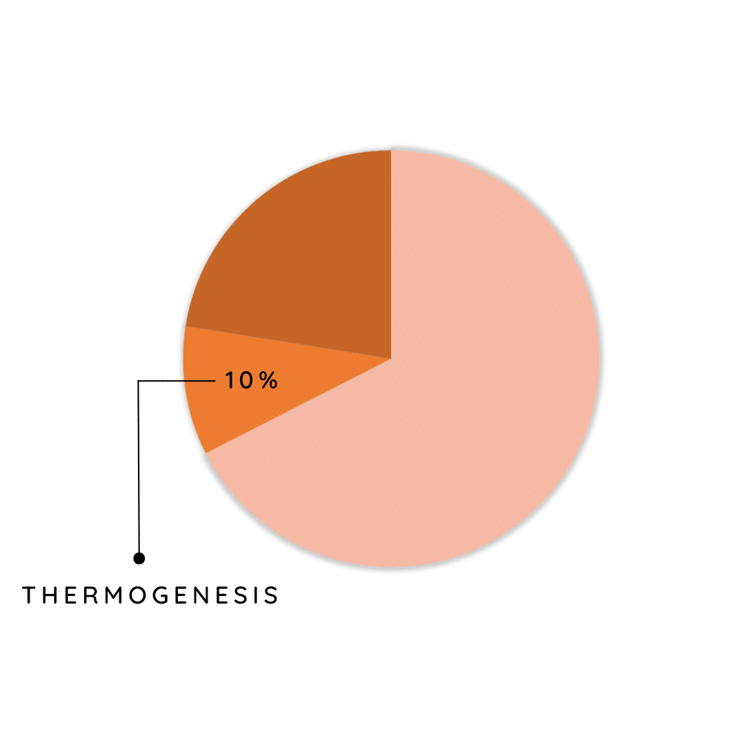 Thermogenesis Thermogenesis