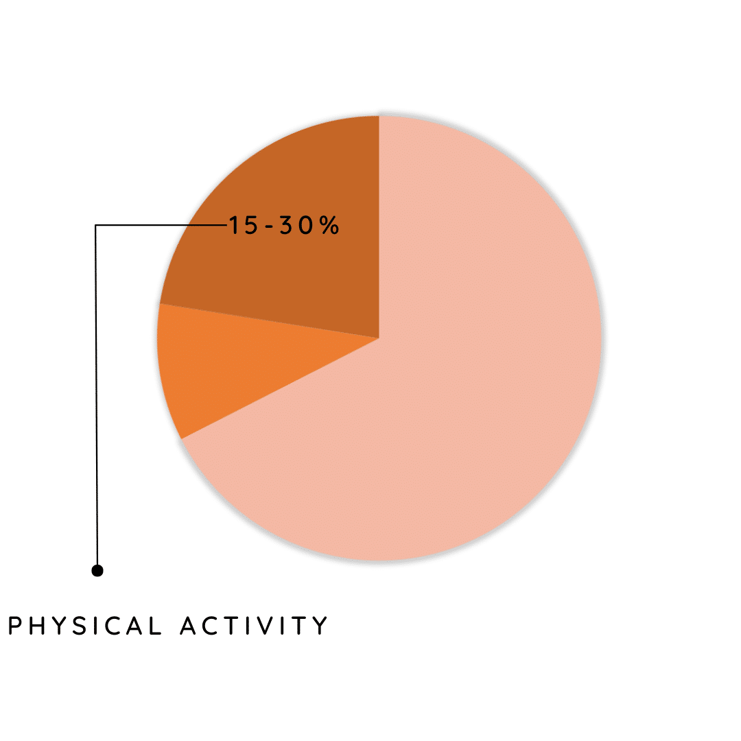 Physical activity Physical activity